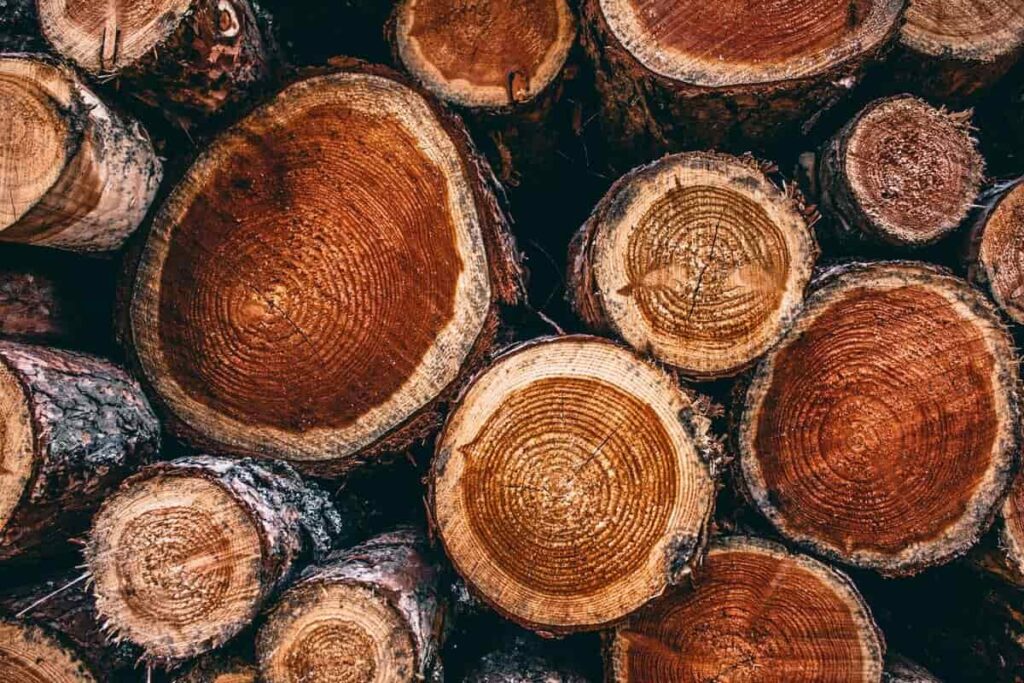 meuble écologique design meubles contemporains en bois recyclé